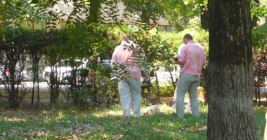 Galerie FOTO. Crimă în parcul Tăbăcăriei. Cadavrul găsit printre copaci - 9