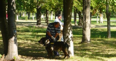 Galerie FOTO. Crimă în parcul Tăbăcăriei. Cadavrul găsit printre copaci - 10