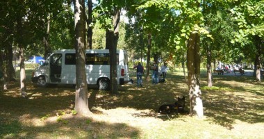 Galerie FOTO. Crimă în parcul Tăbăcăriei. Cadavrul găsit printre copaci - 11