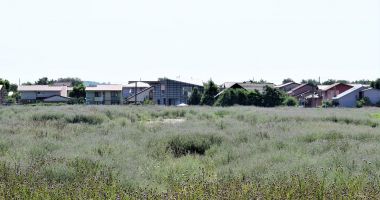 Locuitorii din Cumpăna, somaţi să tundă iarba din apropierea gospodăriilor - 2