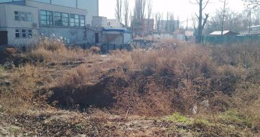 Adio modernizare! Cinci milioane de euro „pierduți” într-o groapă a Delfinariului - 2