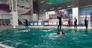 Show spectaculos la Constanţa. "Delfinii au avut demonstraţii excepţionale, cum nu am mai văzut nicăieri în Europa" - 2