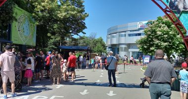 Show spectaculos la Constanţa. "Delfinii au avut demonstraţii excepţionale, cum nu am mai văzut nicăieri în Europa" - 3