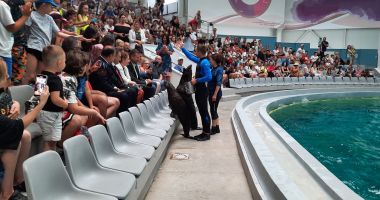 Show spectaculos la Constanţa. "Delfinii au avut demonstraţii excepţionale, cum nu am mai văzut nicăieri în Europa" - 6