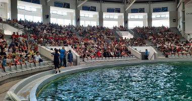 Show spectaculos la Constanţa. "Delfinii au avut demonstraţii excepţionale, cum nu am mai văzut nicăieri în Europa" - 7