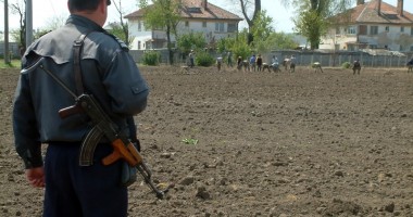 Stire din Eveniment : Deținuții de la Poarta Albă vor să muncească. I-ați angaja?