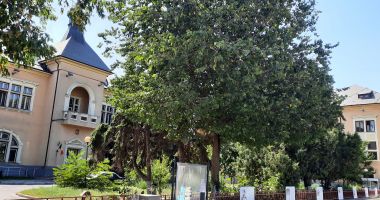 Orgolii și frustrări răscolite la inițiativa amplasării de noi monumente în Constanța. Regele Carol I, în centrul dezbaterii - 2