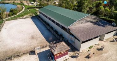 Gloria și Zoro, vedetele clubului de echitație din Constanța - 3