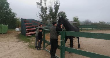 Gloria și Zoro, vedetele clubului de echitație din Constanța - 4