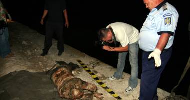 Misterul celor mai sângeroase crime  din Constanța. Asasinii nu au fost aflați niciodată - 2