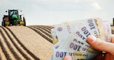 Stire din Economie : Explozie de oferte pe piața constănțeană a terenurilor agricole. Iată prețurile cerute de vânzători!