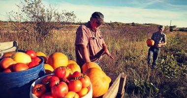 Stire din Economie : Iată ce facilități vor fi acordate cooperativelor agricole