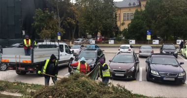 Fără taxă de întreţinere a spaţiilor verzi! „Am vrut să luăm îngrijirea lor din cârca asociaţiilor de proprietari!” - 2