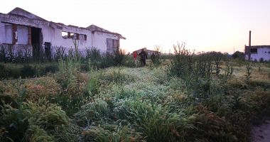 Detalii cutremurătoare din cazul fetiței de 3 ani, găsită sfâșiată pe câmp, la Saraiu. „A fost ucisă de maidanezi!” - 2