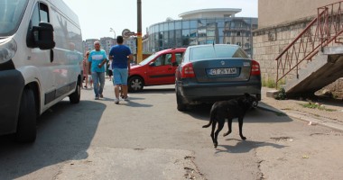 "Nu mai putem trăi aici. Ne omoară mirosul, gălăgia și mizeria!" / Galerie foto - 4