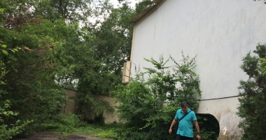 Ruină și buruiană pe post de spectatori în grădinile de vară de pe litoral - 10