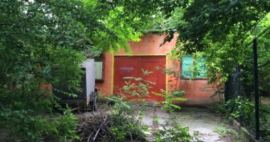Ruină și buruiană pe post de spectatori în grădinile de vară de pe litoral - 2