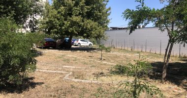 Grădinile din jurul blocurilor, lăsate în paragină de locatari - 4