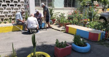 Grădinile din jurul blocurilor, lăsate în paragină de locatari - 2