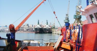 Stire din Economie : Guvernanții înțeleg durerile portului Constanța doar în vremuri de război