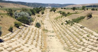 Guvernanții își amintesc de "bolile" sistemului de irigații numai când seceta distruge culturile agricole - 2