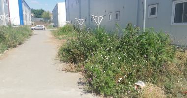Reportaj în cartierul social "Henri Coandă". "Suntem ca în lagăr!" - 14