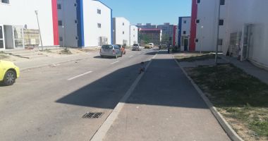 Reportaj în cartierul social "Henri Coandă". "Suntem ca în lagăr!" - 6
