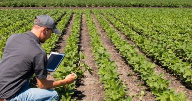 Stire din Economie : Hibrizii inovativi şi cercetarea ar putea fi soluţia unei agriculturi durabile