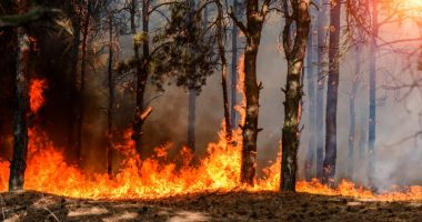 Stire din Actualitate : Incendiul masiv din Atena a forțat mii de oameni să fugă din case
