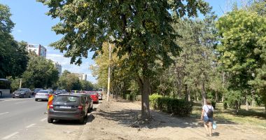Stire din Social : Dispar locurile de parcare de pe bulevardul Lăpuşneanu. „Începe coşmarul pentru noi!”