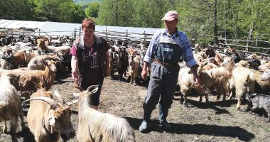 Încotro se îndreaptă agricultura românească? Răspunsul îl va da recensământul general agricol din 2021 - 2