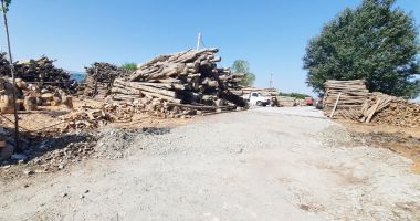 Lemnele "au luat foc" din cauza preţurilor! "Aşteptăm subvenţia ca să vedem ce vom face la iarnă!" - 2