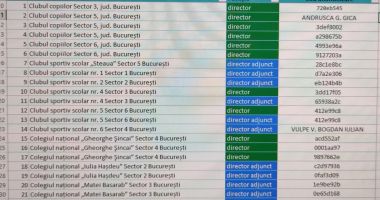 Candidații la concursul de directori nu știu cu cine se luptă. IŞJ simulează transparența - 2