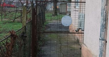 Degradarea din Poliția Constanța! Locuințe de serviciu dărăpănate și sedii cu wc-ul în spatele curții - 2