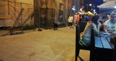 Maidanezii sperie turiștii din centrul vechi al Constanței. "Luăm masa cu dulăi printre mese!" - 4