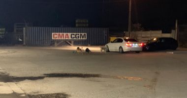 Între teroare și disperare. "Parcă suntem la marginea lumii, vom sfârși sub colții maidanezilor!" - 6