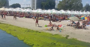Marea Neagră ne oferă hrană și medicamente, iar noi le ignorăm sau le aruncăm la gunoi - 2