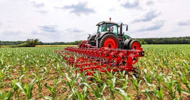 Marile exploatații și-au impus dominația; agricultura de subzistență pierde teren - 2