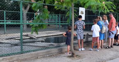 Stire din Social : Microrezervaţia are nevoie de sponsorizare! „Nu avem voie să dăm hrană animalelor care nu sunt în inventarul nostru”