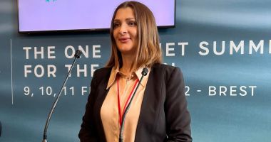 Stire din Politică-Administrație : Liberala Mihaela Andrei şi-a prezentat raportul de activitate din timpul deplasării la Brest