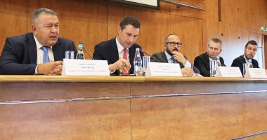 Stire din Economie : Mihai Daraban: "Lemnul românesc n-ar trebui să părăsească țara decât sub formă de produse de mobilier!"