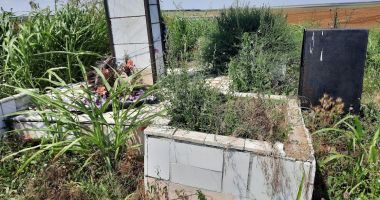 Monument dedicat eroilor Dobrogei, ajuns ruină într-o cultură de floarea soarelui! - 3