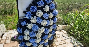 Monument dedicat eroilor Dobrogei, ajuns ruină într-o cultură de floarea soarelui! - 4