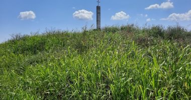 Monument dedicat eroilor Dobrogei, ajuns ruină într-o cultură de floarea soarelui! - 5