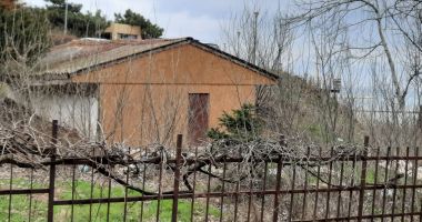 Comoara antică de sub pământ. Va fi pus în valoare mormântul pictat Hypogeu? - 3