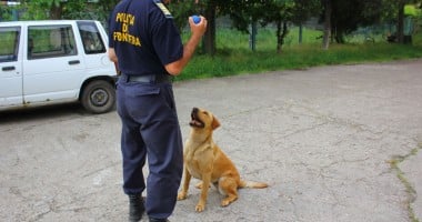 Contrabandiștii de țigări au un nou dușman: Napala! - 8