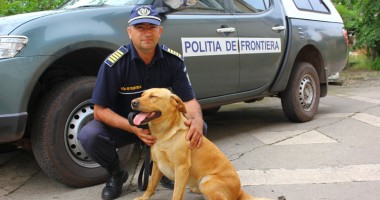 Contrabandiștii de țigări au un nou dușman: Napala! - 5