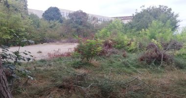Ce rușine! Sediu de școală, evacuat în grabă, ajuns culcuș pentru oamenii străzii! - 7