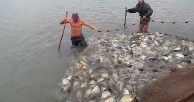 Nu-i minciună! Pescarii de la Marea Neagră și Dunăre au capturat peste 3.179 tone de pește - 2