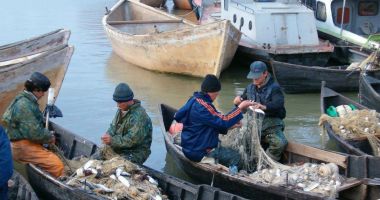 Nu-i minciună! Pescarii de la Marea Neagră și Dunăre au capturat peste 3.179 tone de pește - 3